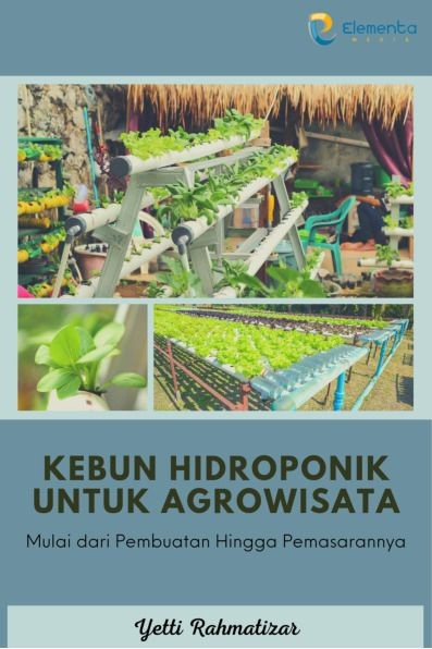 Kebun Hidroponik untuk Agrowisata: Mulai dari pembuatan hingga pemasarannya